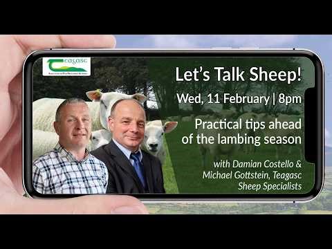 Let's Talk Sheep: Practical tips ahead of the lambing season