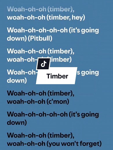 Pitbull ft. Kesha - Timber (Official Lyrics)