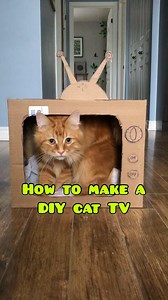 44K views · 665 shares | How to make a DIY Cat TV  | The Oreo Cat | Facebook