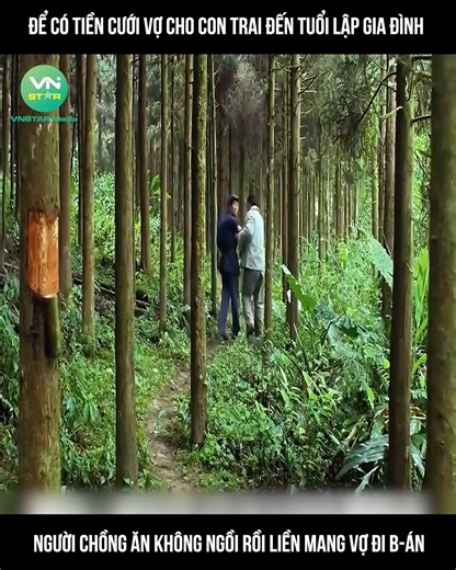 504K views · 8K reactions | review phim hay : A Woman and Seven Husbands ©️ Nội dung được sản xuất bởi #VnstarMedia #VnstarMedia #Vnstarnetwork | Ẩm Thực Cô Tấm | Facebook