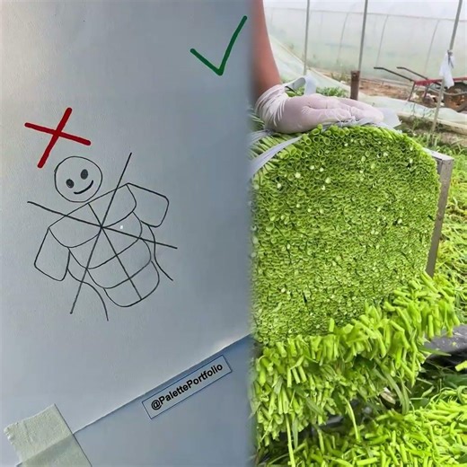 Male torso drawing #howtodraw #art #drawing #artist #shorts