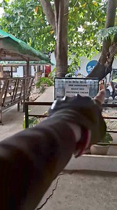 1M views · 12K reactions | BoJack's Seafoods Grill Eat All You Can , UNLI Located : watch the full video 呂戀 I will pick 10 netizens with companion for Free Salamat kaayo sa inyung pag supporta always | Katawa CDO Doodzkie | Facebook