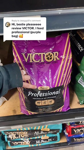Replying to @Jazzyyyiiii Victor Professional #fyp | Victor Dog Food Review