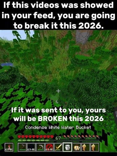 Will be yours broken or will you break it?? 🧐🗿 #minecraft #memes #elevenhopper