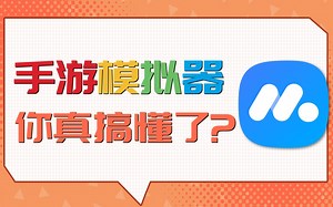 这才叫做真正的手游模拟器！