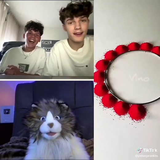 #funny #fyp | peter prankster guessing names