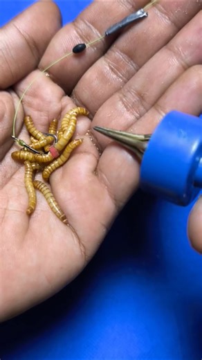 Tips and Tricks for Installing Fishing Bait #shorts #fishing #tutorial