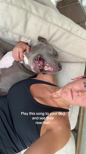 Unexpected Reactions: Playing Music for Dogs