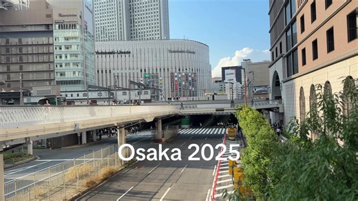 tokyo.pterodactyl (@tokyo.pterodactyl)’s videos with Eleanor Rigby - Remastered 2015 - The Beatles