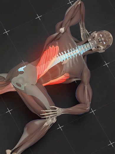 Lower back tightness usually comes from stiff hips and poor spinal rotation. This movement guides the hips through rotation while the obliques control the twist and the lumbar spine moves gently. As the spine rotates, tight muscles around the lower back begin to relax, helping restore mobility and reduce built-up tension from sitting or inactivity. Small movements like this can unlock the hips, decompress the spine, and bring relief to your lower back. Move slow. Let the spine rotate naturally. 