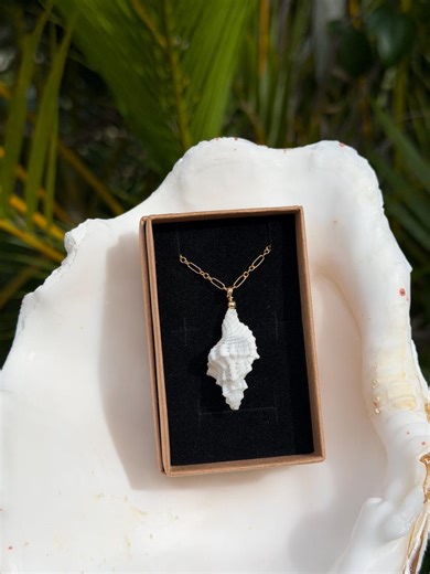 White Murex Shell Necklace (gold) - Etsy