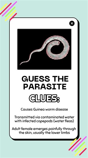 Guess the Parasite #9 | Medtech Review