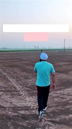 Hydroponic Farming Innovations in Pakistan