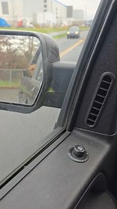 21 reactions | Socks is sure enjoying life in his foster home! Car...