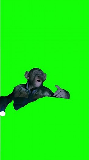 Monkey saying "OH NO!" meme - Green Screen - War for the Planet of the Apes