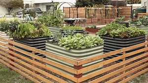 Epic Gardening's epic quest to win the booming grow-your-own and homesteading movements