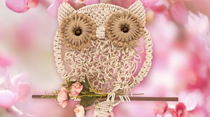 Liebe Bastelfreunde, in diesem Video zeigen wir euch Schritt für Schritt, wie ihr eine niedliche Makramee-Eule zum Aufhängen gestalten könnt. Dekoriert damit zum Beispiel euer Fenster, die Wand oder eine Tür. Natürlich eignet sich die geknüpfte Eule auch als ganz besonderes Geschenk für einen lieben Menschen. Das Makramee-Garn und das andere verwendete Bastelmaterial findet ihr hier: https://www.ideenmitherz.de/makramee-eule Viel Spaß beim Anschauen und Nachmachen! ;) LG Julia & Karin | Ideen mi