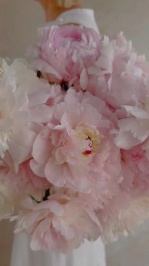 2.6K views · 381 reactions | PEONY season  Our incredible...