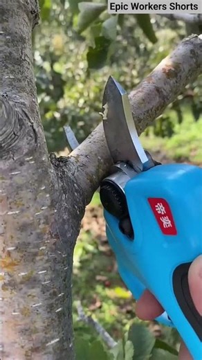⚡✂️ Powerful Electric Pruner for Effortless Tree Trimming