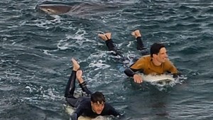 Watch as shark attacks surfers near Bells Beach