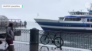 Video captures the moment a ferry crashed into a dock in San Francisco on Friday. https://cir.ca/2PPOnyD | The National Desk - TND