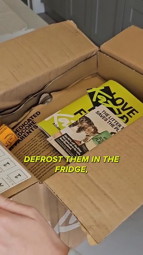 Did you know: 95% of cat parents see incredible health changes after switching to KatKin? 樂 From less mess in the litter tray to improved appetite and softer, thicker fur. Because our real meat recipes help cats thrive. No compromises. Sign up today + get 20% off your two-week trial box of fresh cat food. | The Cat Nutritionist | Facebook