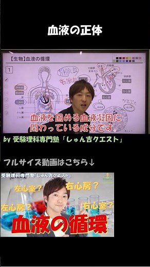 【理科のコツ「血液の循環」】血液の正体？【受験理科専門塾しゅん吉クエスト】