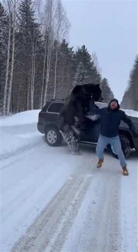 Bear Explodes Out of the Trees — Friend Drives Off in Panic 😱 #shorts #wildlife #trend