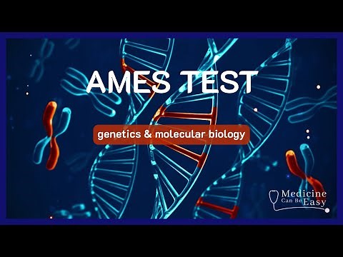 Ames Test (+ NOTES)