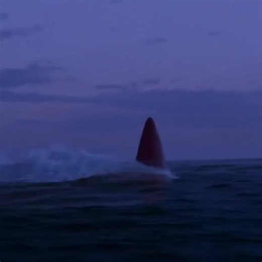 Discover the Mysterious Red Sea Beast in 2022