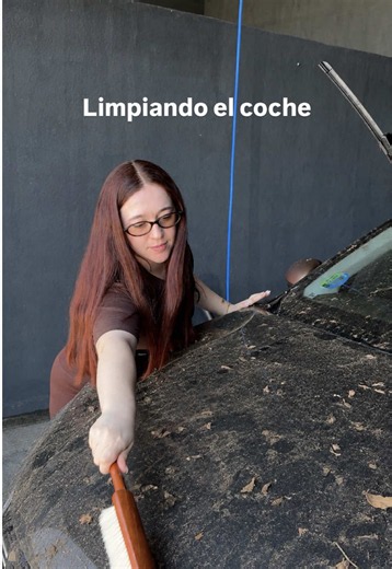 Cómo limpiar flores pegajosas del coche tras aparcar bajo un árbol