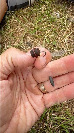 SIMPLE RIVER RIG fishing for barbel and chub #riverfishing #fishingtips #fishingtechniques