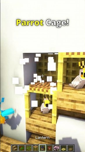 Minecraft Parrot Cage! #minecraft #shorts