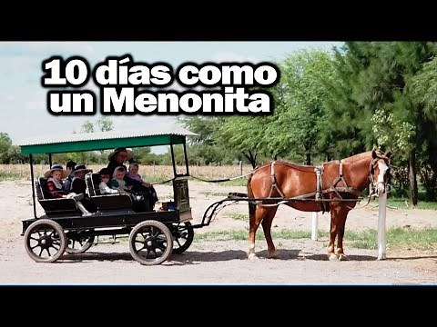 10 Days as a Mennonite: A community that coexists between religion and work