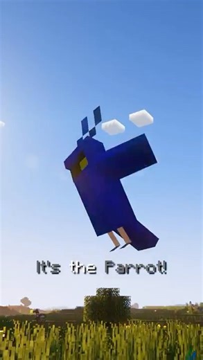 The Secret Mob That Changes Colors Like a Jeb_ Sheep