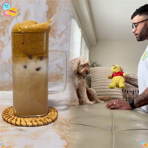 Mini Cockapoo Chooses Between Her Favourite Toy or Her Dad 😳