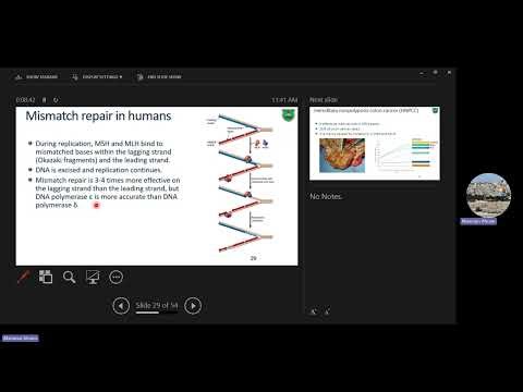 DNA repair 2 and CRISPR Cas9