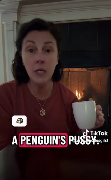 The cold weather has arrived in the south today 🥶 #winter #south #funny #penguin #coldweather