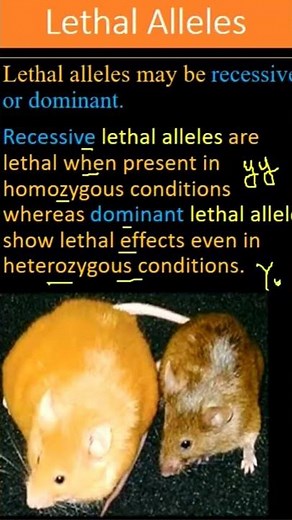 Lethal Alleles & it's Types| Dominant & Recessive Lethal Alleles