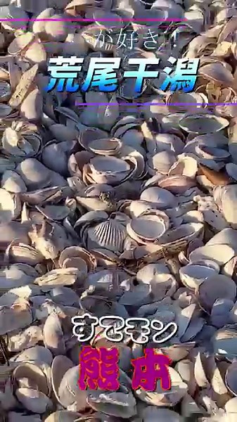 海が好き（ Vol.59 ）／「有明海」荒尾干潟