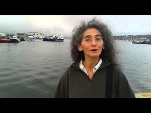 25th of July - Galician Day - Join us!