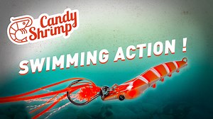 4.7K views · 42 reactions |  CANDY SHRIMP | SWIMMING ACTION  La Candy Shrimp 戀 possède une nage particulière qui lui donne un aspect très attractif au près des prédateurs marins !  | Fiiish | Facebook