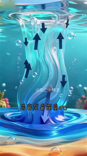 Mysteries of Winter: Why Fish Swim in Ice-Free Waters? | Kids' Sci-Ed