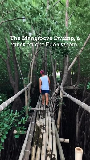 A mangrove swamp is a coastal wetland ecosystem in tropical areas, characterized by salt-tolerant shrubs that grows in brackish or saline tidal waters. It is a must in our ecosystem, as it help stabilize coastlines, filter water, and provide a habitat for marine lives. #ecosystem #climatechange #nature #METAAI #contentcreator | Larry Villoso