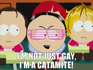 I'm not just gay, I'm a catamite!