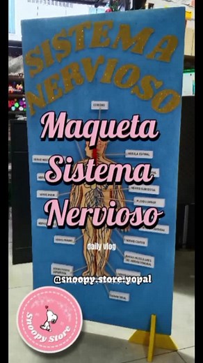 Maqueta del Sistema Nervioso: Cómo Hacer un Cartel Creativo