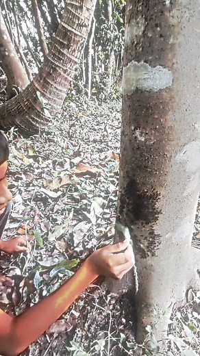 Magic tutorial 😀 #magic #reels | Serpent L