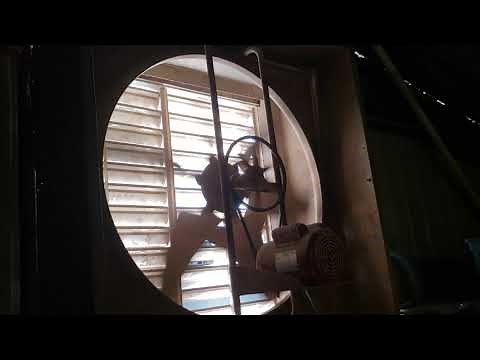 42" Dayton Belt Drive Exhaust Fan