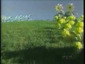 Teletubbies - Washing the Car (US Version)