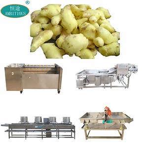 [Hot Item] Ginger Processing Plant Ginger Peeling Washing and Drying Line Machine